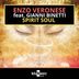 Cover art for "Enzo Veronese — Spirit Soul feat. Gianni Binetti (Reptile Mix)"