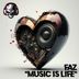 Cover art for "Faz — Music Is Life"