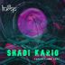 Cover art for "Shadi Kario — Reflections"