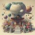 Cover art for "TRIPTIP — Shrine (Original Mix)"