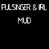 Cover art for "Pulsinger & Irl — Dub Rise"