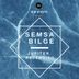 Cover art for "Semsa Bilge — Jupiter Ascending"