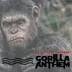Cover art for Gorilla Anthem