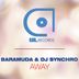 Cover art for "Baramuda, DJ Synchro — Away (Radio Edit)"