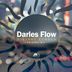 Cover art for "Darles Flow — Distant Echoes (Original Mix)"