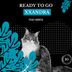 Cover art for "Xxandra — Ready To Go (Radio Edit)"