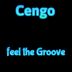 Cover art for Feel the Groove