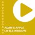 Cover art for "Adam's Apple — Little Window"