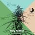 Cover art for "Rory Northall — Blue Dream"