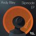 Cover art for "Andy Riley — Stone"