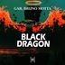 Cover art for "Bruno Motta, GAR — Black Dragon (Radio Mix)"