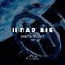 Cover art for "Ildar Bik — Orbital Flight"