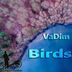 Cover art for "VaDim — Birds"