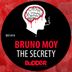 Cover art for "Bruno Moy — The Secrety (Radio Edit)"