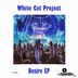 Cover art for "White Cat Project — Start the Process (original mix)"