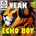 Cover art for Echo Boy