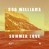 Cover art for "Boo Williams — Summer Love"