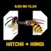 Cover art for "Hatcha, Hamdi — Black and Yellow"