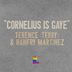 Cover art for Cornelius Is Gaye