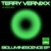 Cover art for "Terry Vernixx — Photophores (Reverend Mitton's Photosynthetic Re-Rub)"