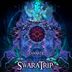 Cover art for "SwaraTrip — Madhyama"