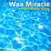 Cover art for "Wax Miracle — Pool Party King (Original45)"