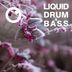 Cover art for Liquid Drum & Bass Sessions 2020 Vol 11