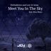 Cover art for "Disfunktion, Levi & Suiss — Meet You in the Sky feat. Mira Blues (Original Mix)"