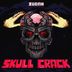 Cover art for Skull Crack