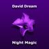 Cover art for Night Magic