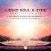 Cover art for "Liquid Soul, Zyce — We Come in Peace feat. Solar Kid (Synthatic Remix)"