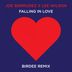 Cover art for "Joe Bermudez, Lee Wilson — Falling In Love (Birdee Remix)"