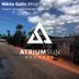 Cover art for "Nikita Galin — Africa Calling"