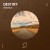 Cover art for "Destiny — Pieces"