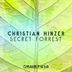 Cover art for "Christian Hinzer — Secret Forrest"