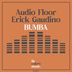 Cover art for "Audio Floor, Erick Gaudino — Bumba"