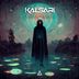 Cover art for "Kalsari — Weird Music (Original Mix)"