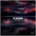 Cover art for Flegrei