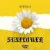 Cover art for "DJ Will::E — Sunflower (Original mix)"