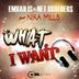 Cover art for "Emrah Is, Net Brothers, Nika Mills — What I Want (Radio Mix)"