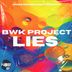 Cover art for "BWK Project — Lies"