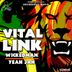 Cover art for "Vital Link — Wicked Man"