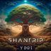Cover art for Shantrip (Radio Mix)