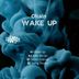 Cover art for "Okain — Wake Up"