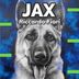 Cover art for "Riccardo Fiori — Jax"