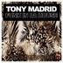 Cover art for "Tony Madrid — Funk in da House"