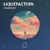 Cover art for "Liquefaction — Somebody"