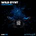 Cover art for "Dani Barrera — Wild Synt"