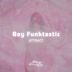 Cover art for "Boy Funktastic — Attract"