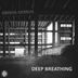 Cover art for "Grisha Gerrus — Deep Breathing (Original Mix)"